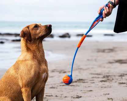 Chuckit! Fetch & Fold Launcher Blue and Orange Dog Toy