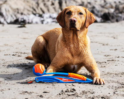 Chuckit! Fetch & Fold Launcher Blue and Orange Dog Toy