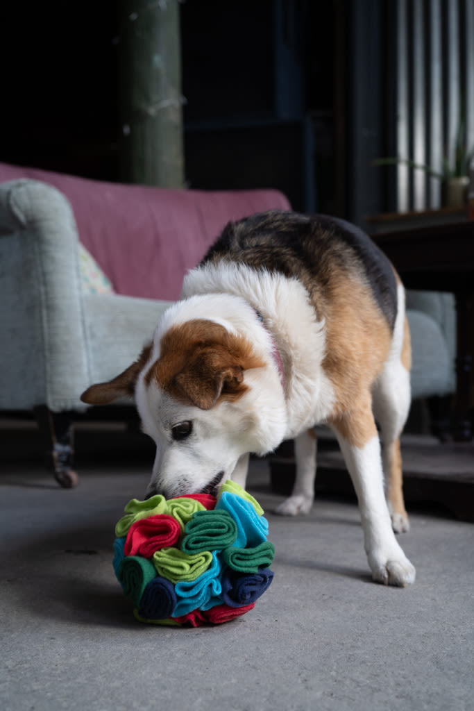 Petface Fabric Snuffle Ball Pet Treat Puzzle Toy