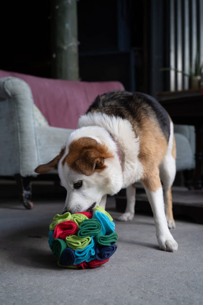 Petface Fabric Snuffle Ball Pet Treat Puzzle Toy