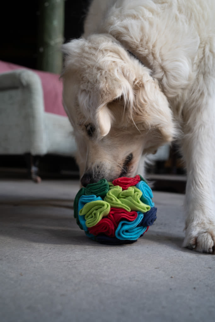 Petface Fabric Snuffle Ball Pet Treat Puzzle Toy