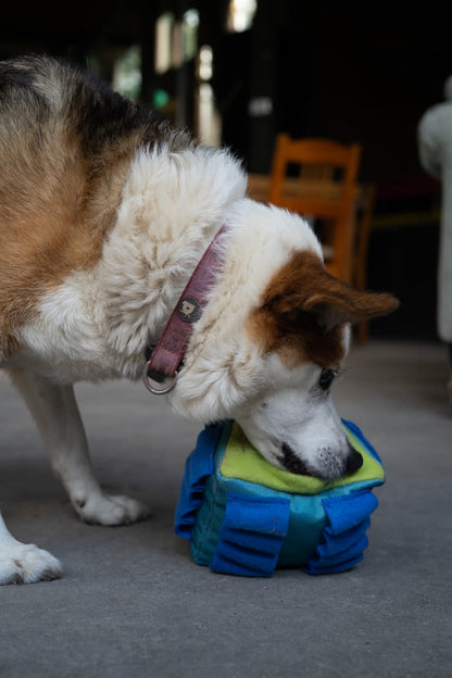 Petface Fabric Snuffle Triangle Pet Treat Puzzle Toy