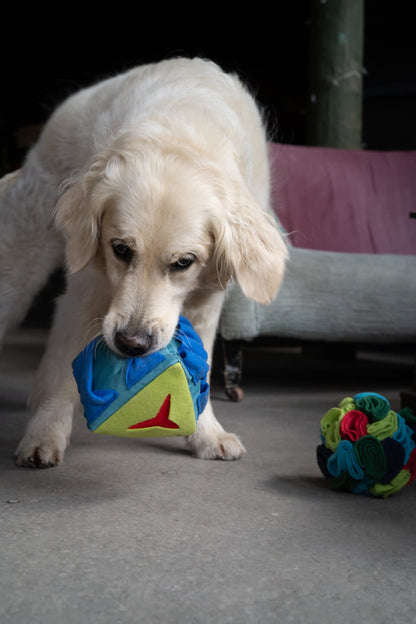 Petface Fabric Snuffle Triangle Pet Treat Puzzle Toy