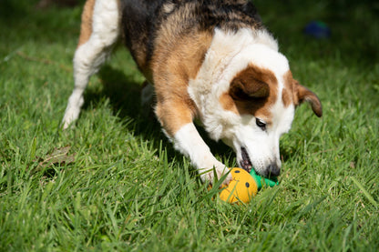 Petface Greenfingers Latex Perry Yellow Pineapple Dog Toy