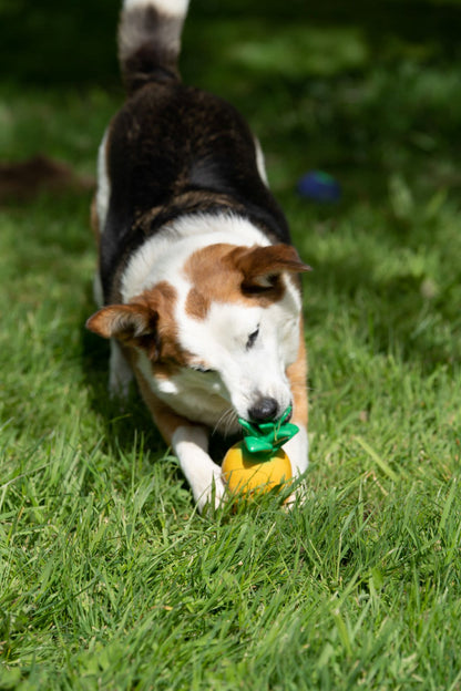 Petface Greenfingers Latex Perry Yellow Pineapple Dog Toy