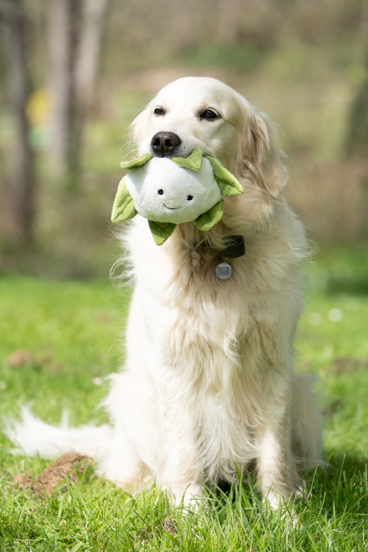 Petface Greenfingers Fluffy Callie Cauliflower White & Green Plush Dog Toy