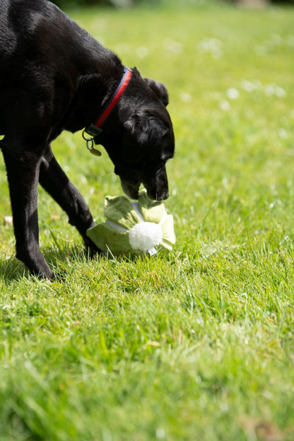 Petface Greenfingers Fluffy Callie Cauliflower White & Green Plush Dog Toy