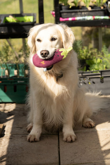Petface Greenfingers Fluffy Aubri Aubergine Purple Plush Dog Toy