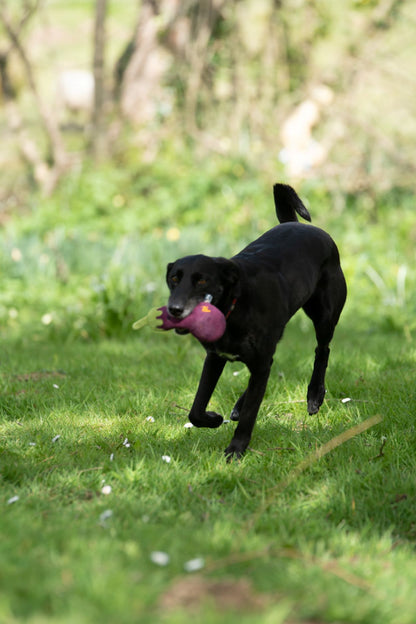 Petface Greenfingers Fluffy Aubri Aubergine Purple Plush Dog Toy