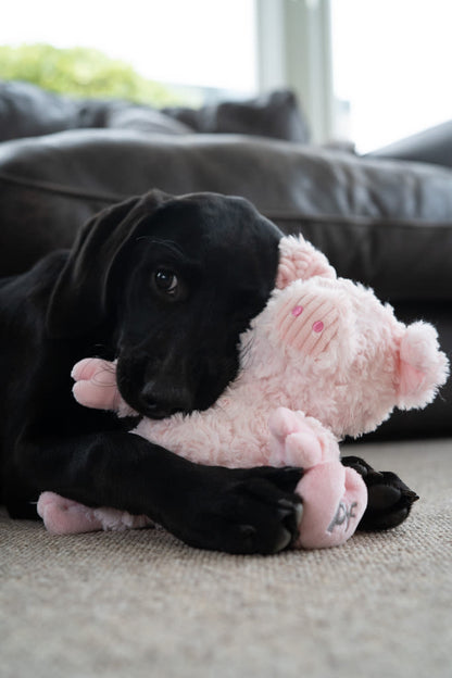 Petface Little Peony Pig Pink Plush Small Dog Toy