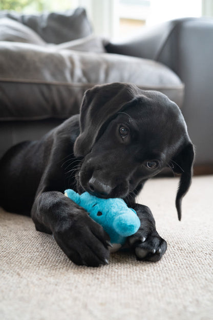 Petface Little Esmee Elephant Blue Ball Plush Small Dog Toy