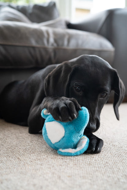Petface Little Esmee Elephant Blue Ball Plush Small Dog Toy