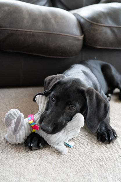 Petface Little Fun Freddi Cord Grey Plush Small Dog Toy
