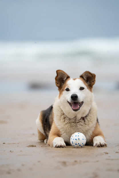 Petface Outdoor Paws Mighty White & Blue Ball Large Dog Toy