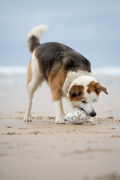 Petface Outdoor Paws Mighty White & Blue Rugby Ball Dog Toy