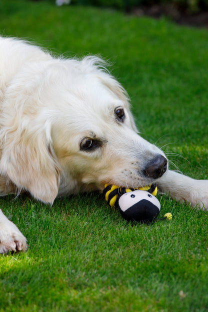Petface Buddies Bert Bee Yellow & Brown Rope Ball Dog Toy