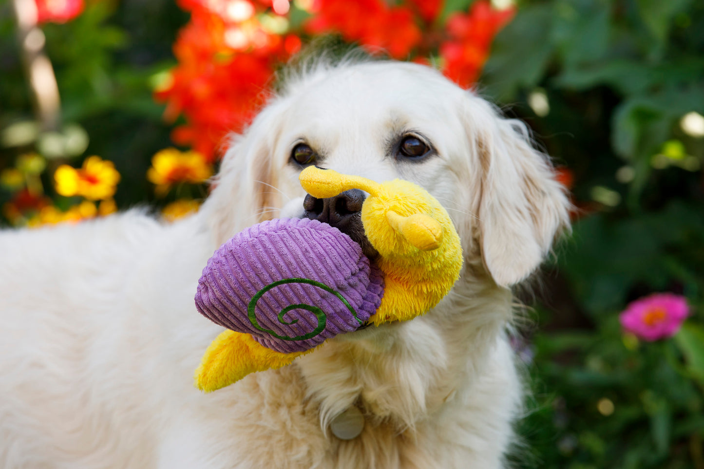 Petface Buddies Sassy The Snail Yellow & Violet Plush Dog Toy