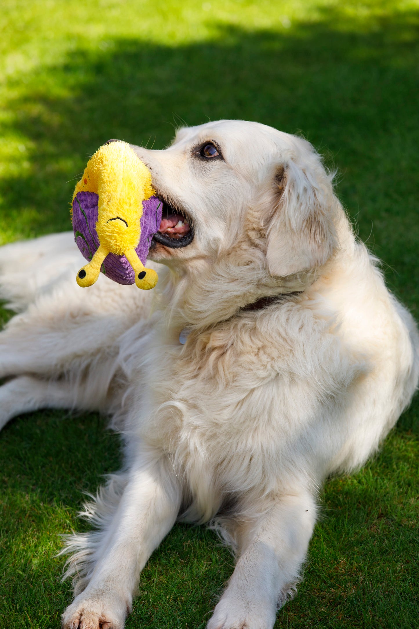 Petface Buddies Sassy The Snail Yellow & Violet Plush Dog Toy