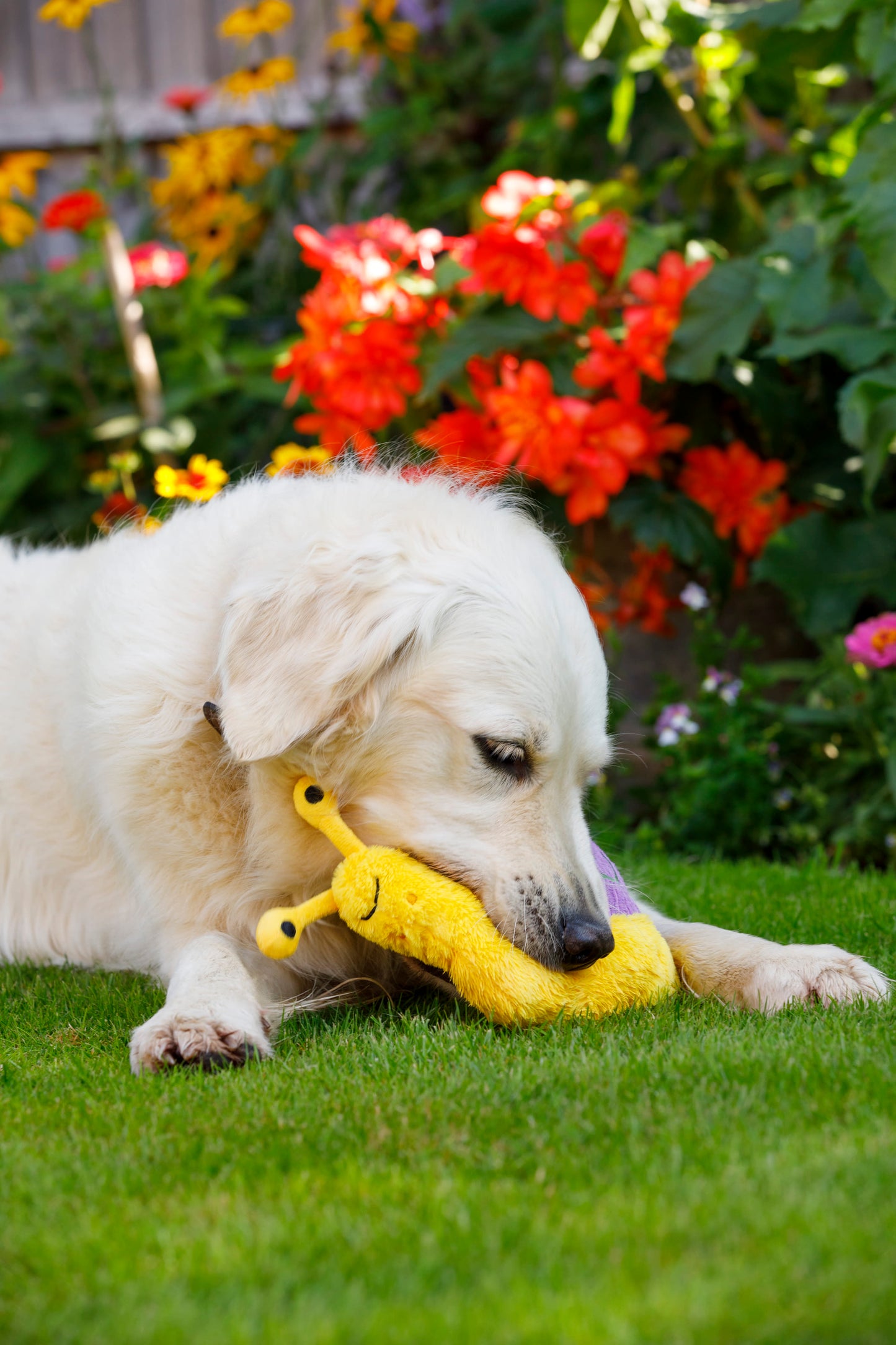 Petface Buddies Sassy The Snail Yellow & Violet Plush Dog Toy