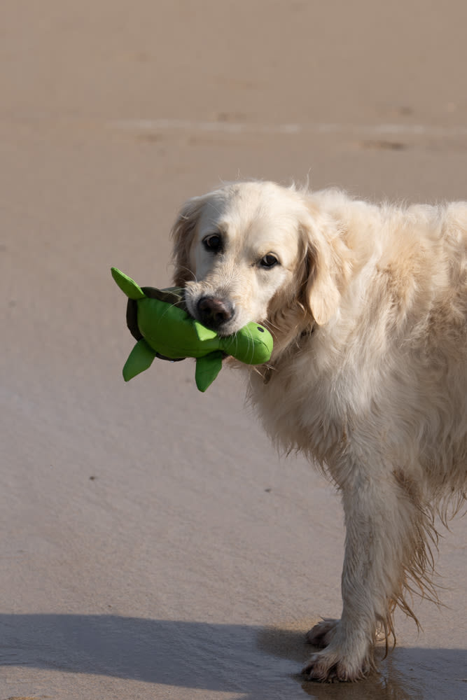 Petface Planet Tessi Turtle Plush Green Dog Toy