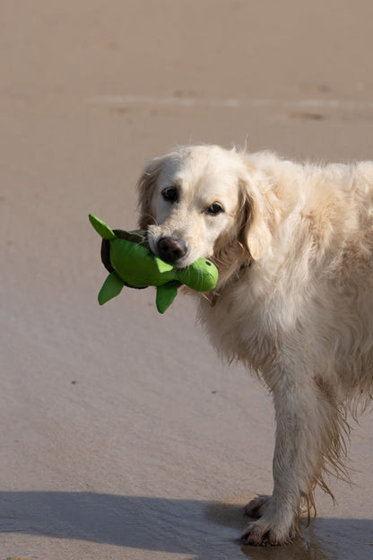 Petface Planet Tessi Turtle Plush Green Dog Toy