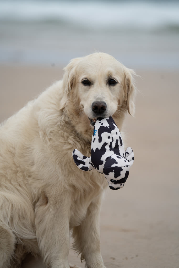 Petface Planet Ocean Cycle Sienna Seal Plush Black & White Dog Toy