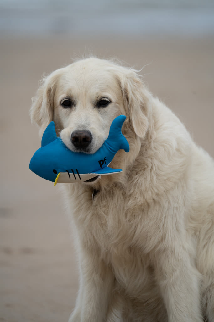 Petface Planet Ocean Cycle Salina Shark Plush Blue Dog Toy