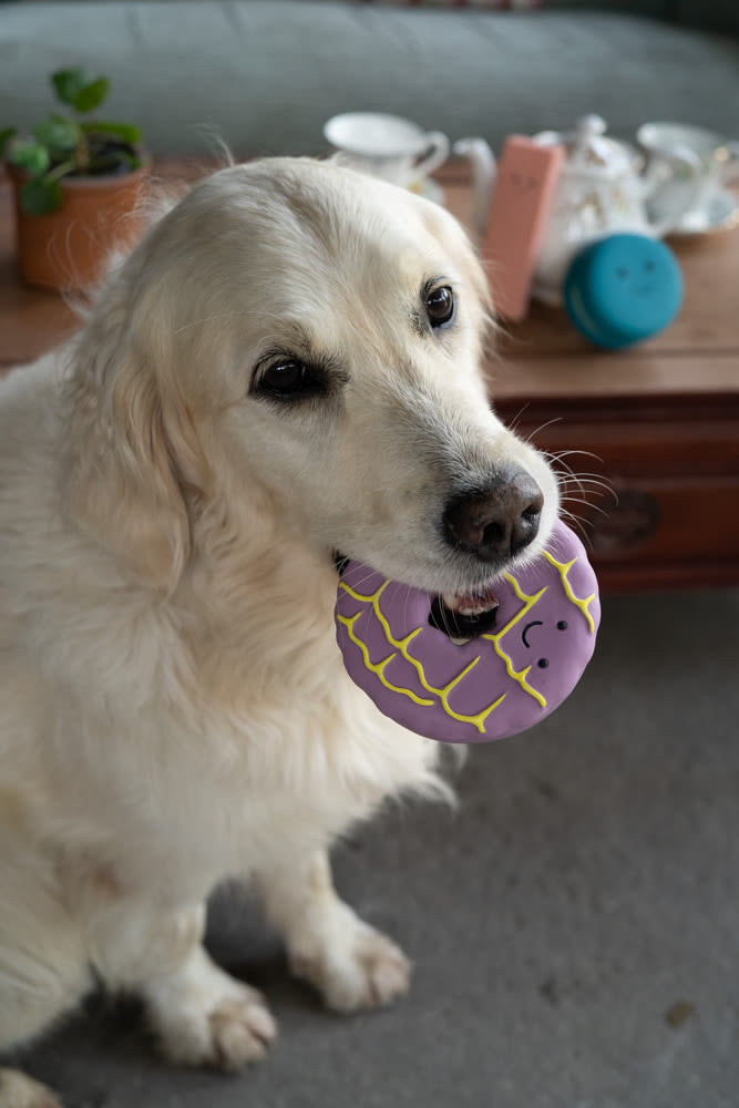 Petface Iced Ring Biscuit Latex Violet Dog Toy