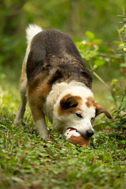 Petface Round Owl Plush Ball Brown Dog Toy