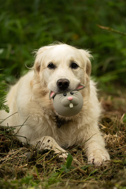 Petface Rico Rabbit Latex Grey Dog Toy