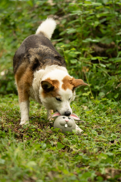 Petface Rico Rabbit Latex Grey Dog Toy