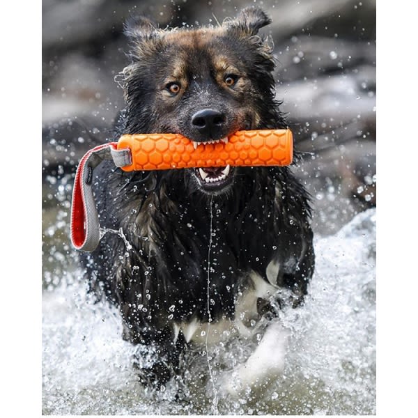 N-Gage Bumper Junior Dog Toy - Orange