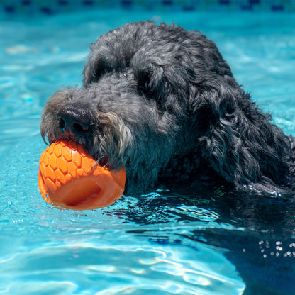 N-Gage Hydro Handler Regular Dog Toy - Orange