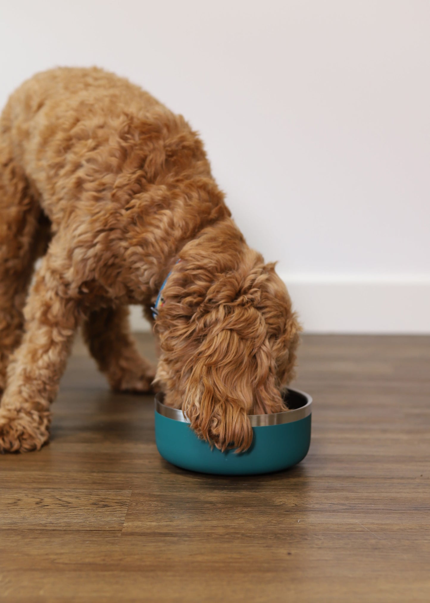 Rosewood Double Wall Stainless Steel Bowl - 700ml