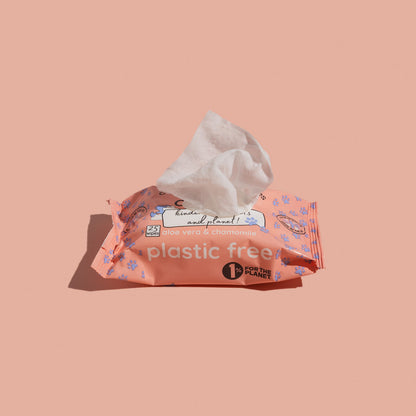 Adios Plastic Compostable Pet Wipes