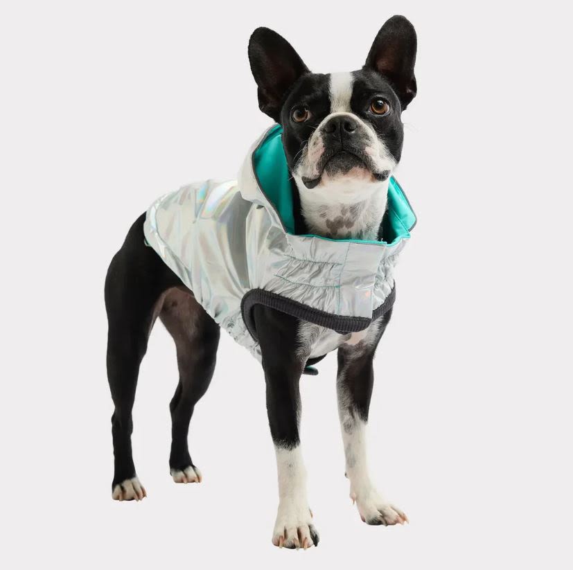 GF Pet Elasto-Fit Reversible Neon Aqua Iridescent Dog Raincoat