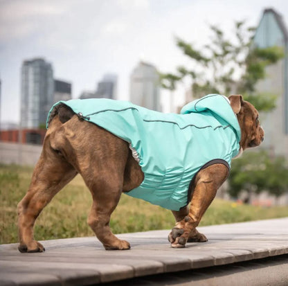 GF Pet Elasto-Fit Reversible Neon Aqua Iridescent Dog Raincoat