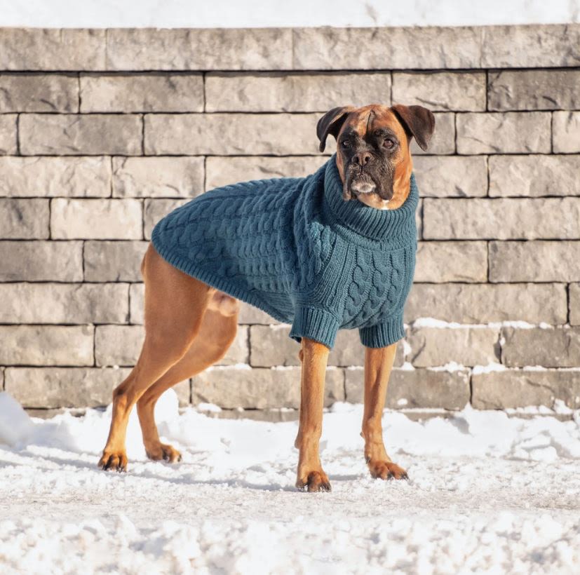 GF Pet Chalet Dark Teal Dog Sweater