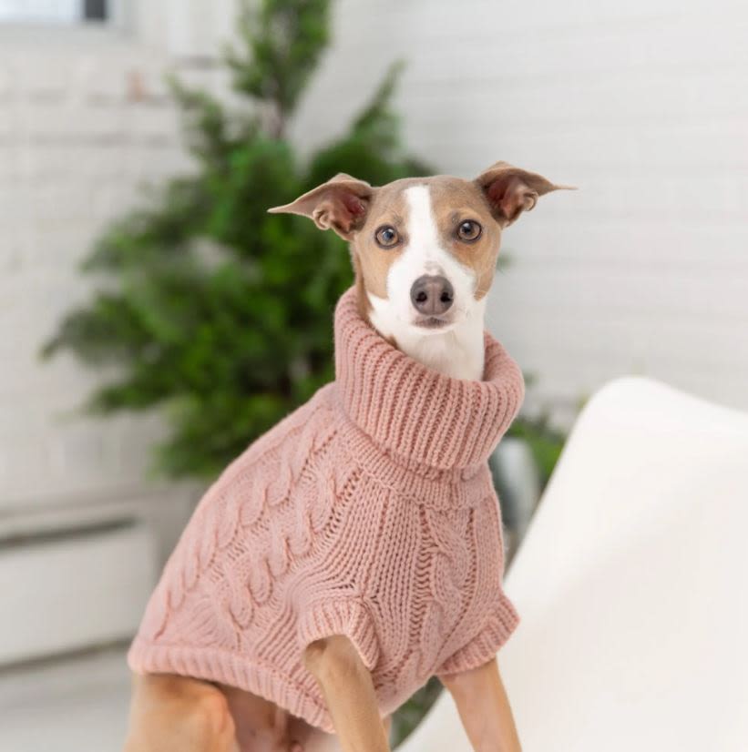 GF Pet Chalet Pink Dog Sweater
