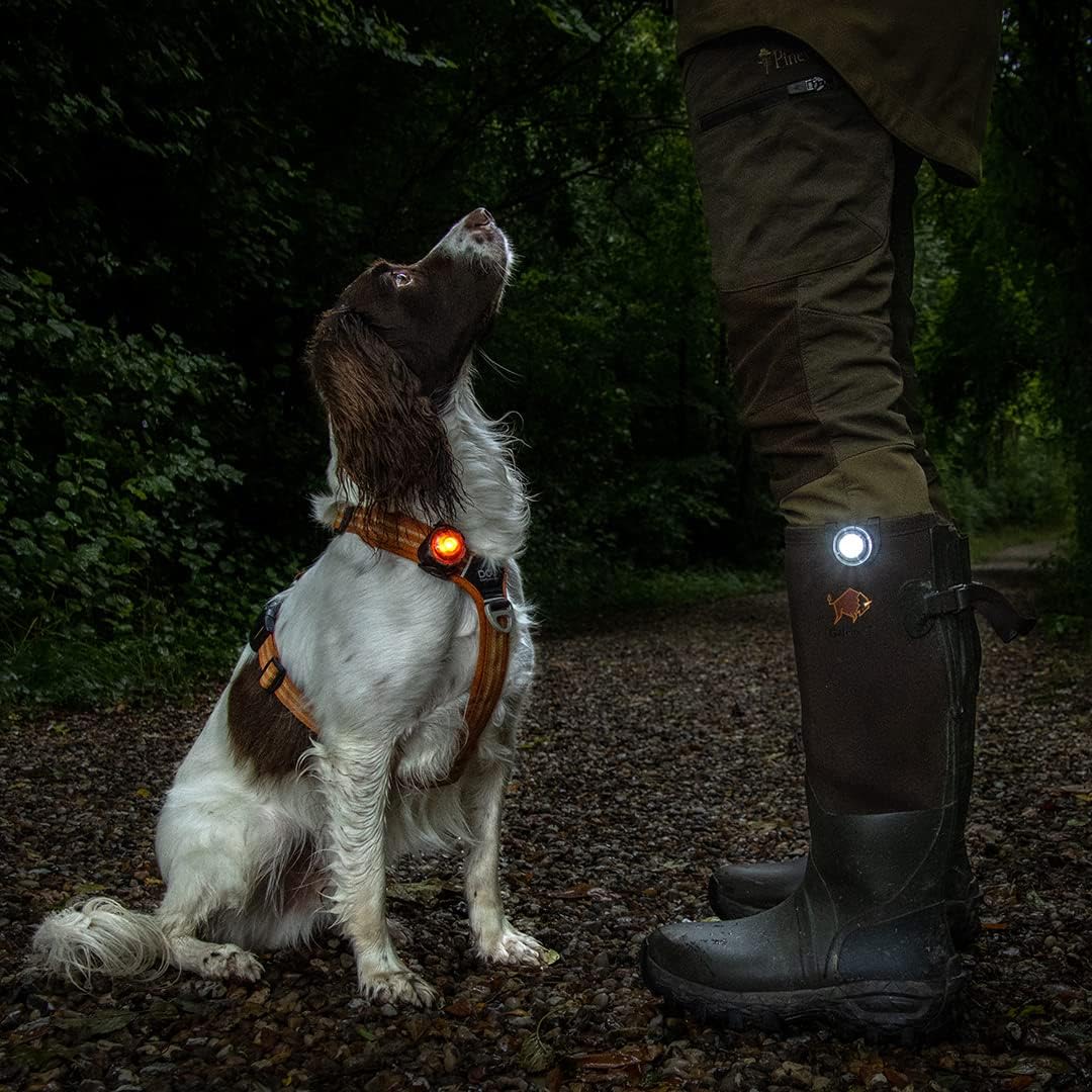Orbiloc Dog White Dual Safety Light
