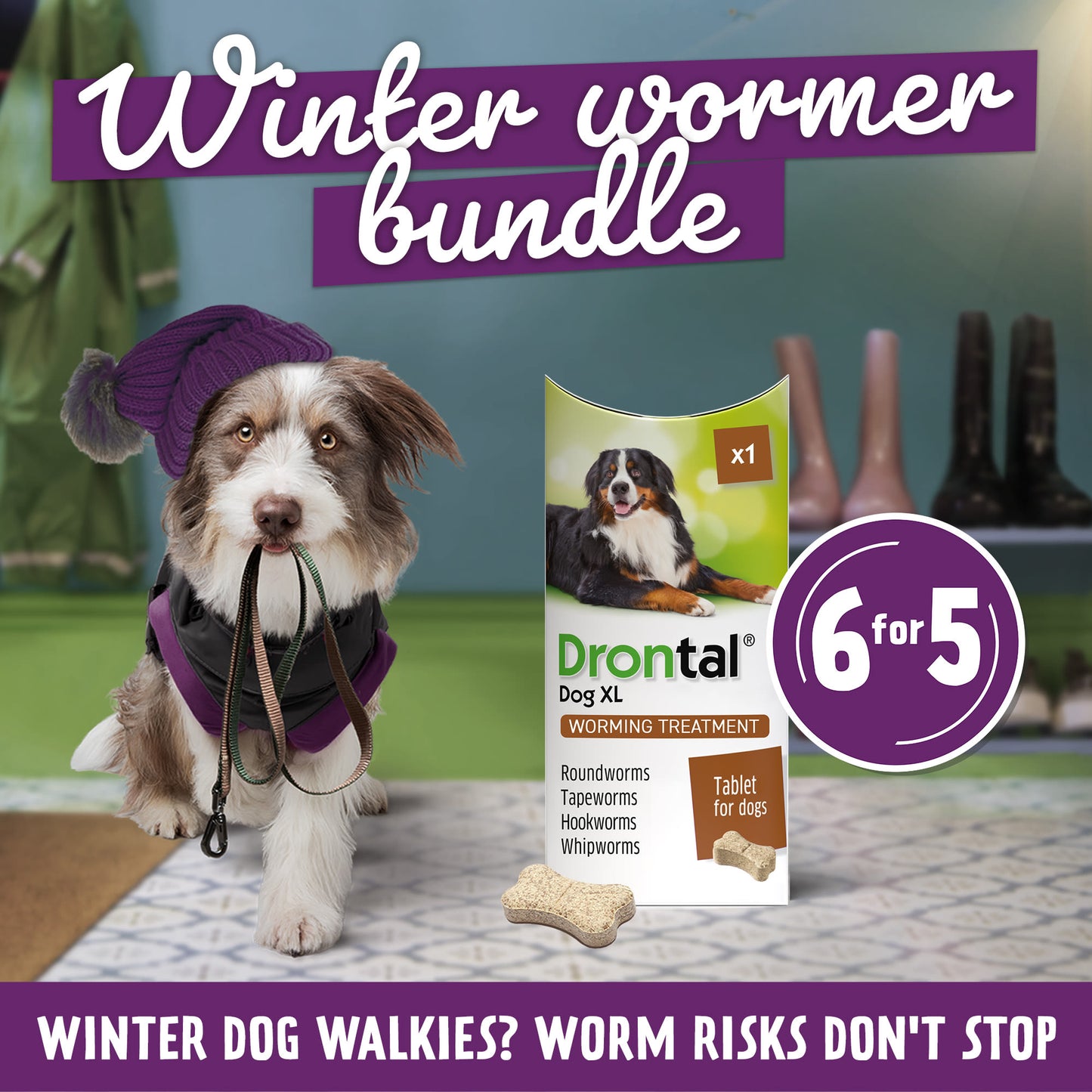 6x Drontal Tasty Bone XL Wormer Tablets for Large Dogs (2 to 20kg) 1 tablet per 35kg