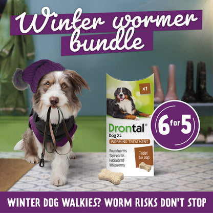 6x Drontal Tasty Bone XL Wormer Tablets for Large Dogs (2 to 20kg) 1 tablet per 35kg