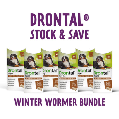 6x Drontal Tasty Bone XL Wormer Tablets for Large Dogs (2 to 20kg) 1 tablet per 35kg