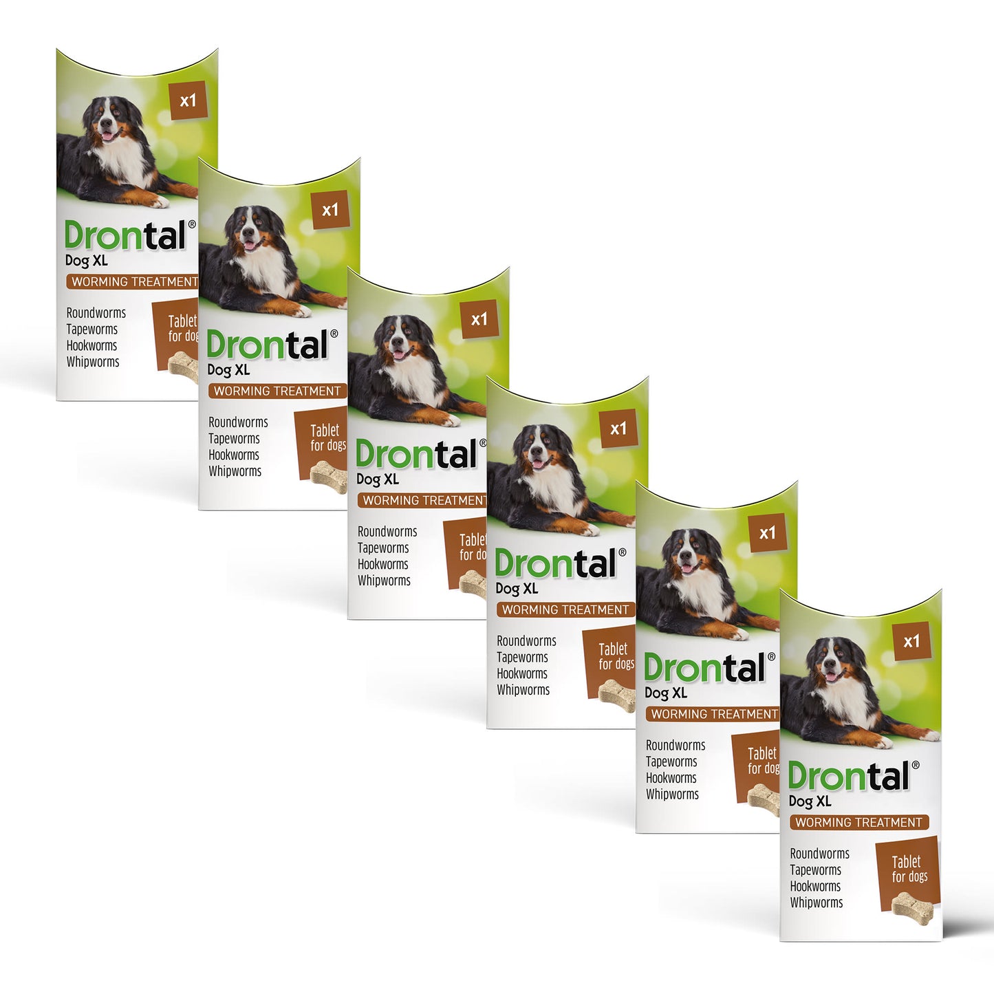 6x Drontal Tasty Bone XL Wormer Tablets for Large Dogs (2 to 20kg) 1 tablet per 35kg
