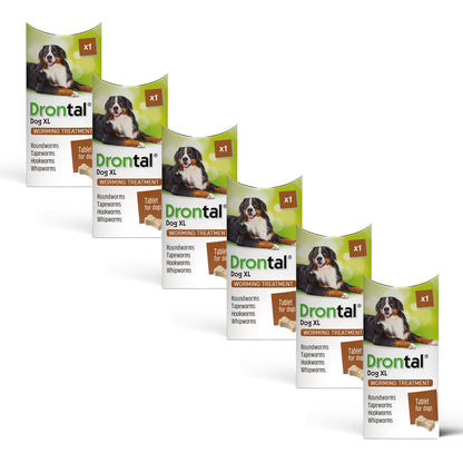 6x Drontal Tasty Bone XL Wormer Tablets for Large Dogs (2 to 20kg) 1 tablet per 35kg