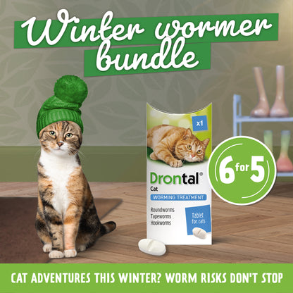6x Drontal Wormer Tablets for Small and Medium Cats (2 to 4kg)