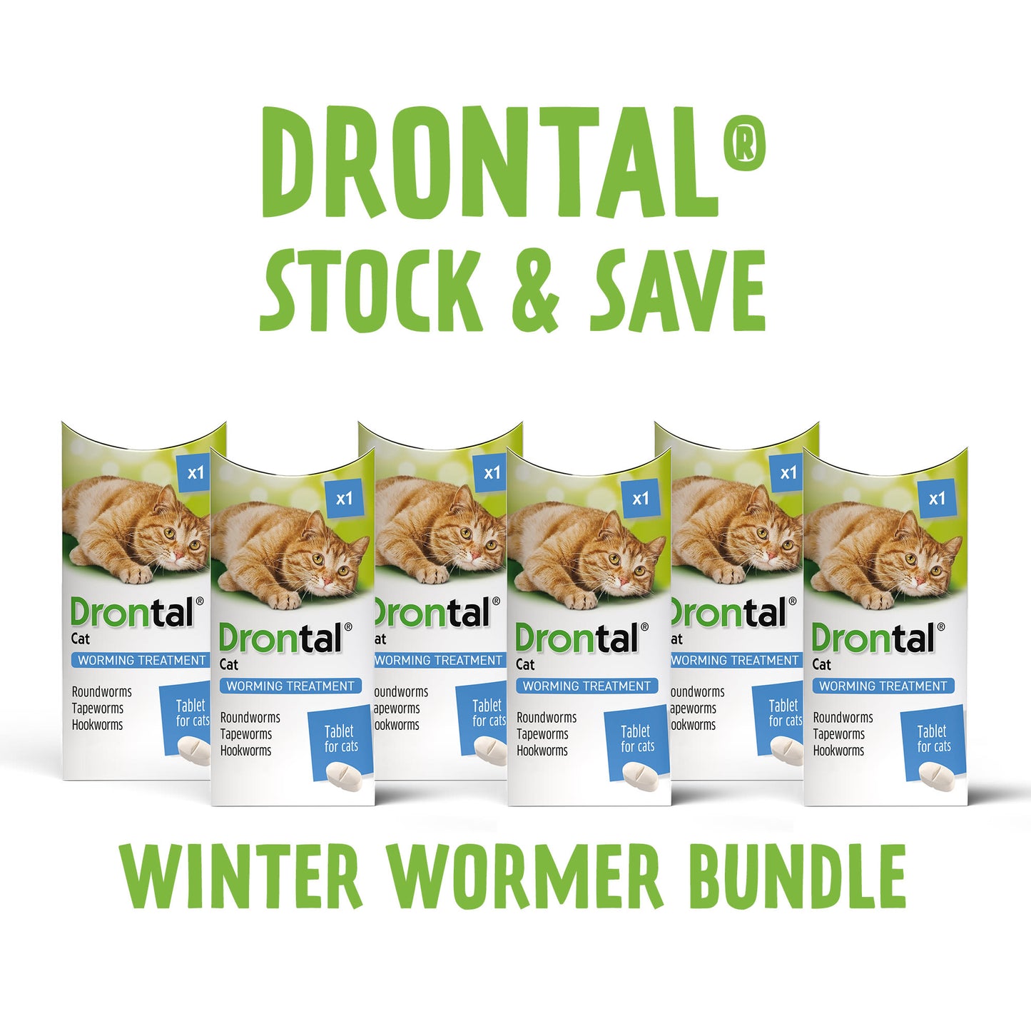 6x Drontal Wormer Tablets for Small and Medium Cats (2 to 4kg)
