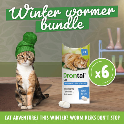 6x Drontal Wormer Tablets for Small and Medium Cats (2 to 4kg)