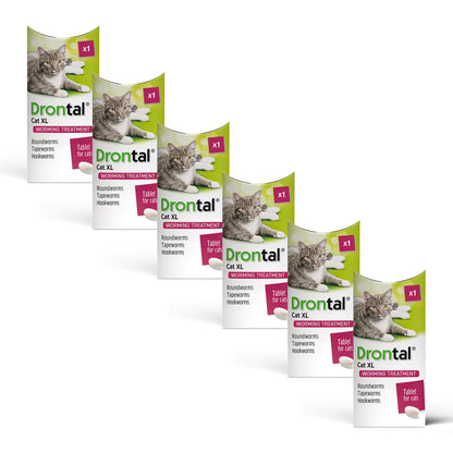 6x Drontal Wormer Tablets for Large Cats (Over 4kg)