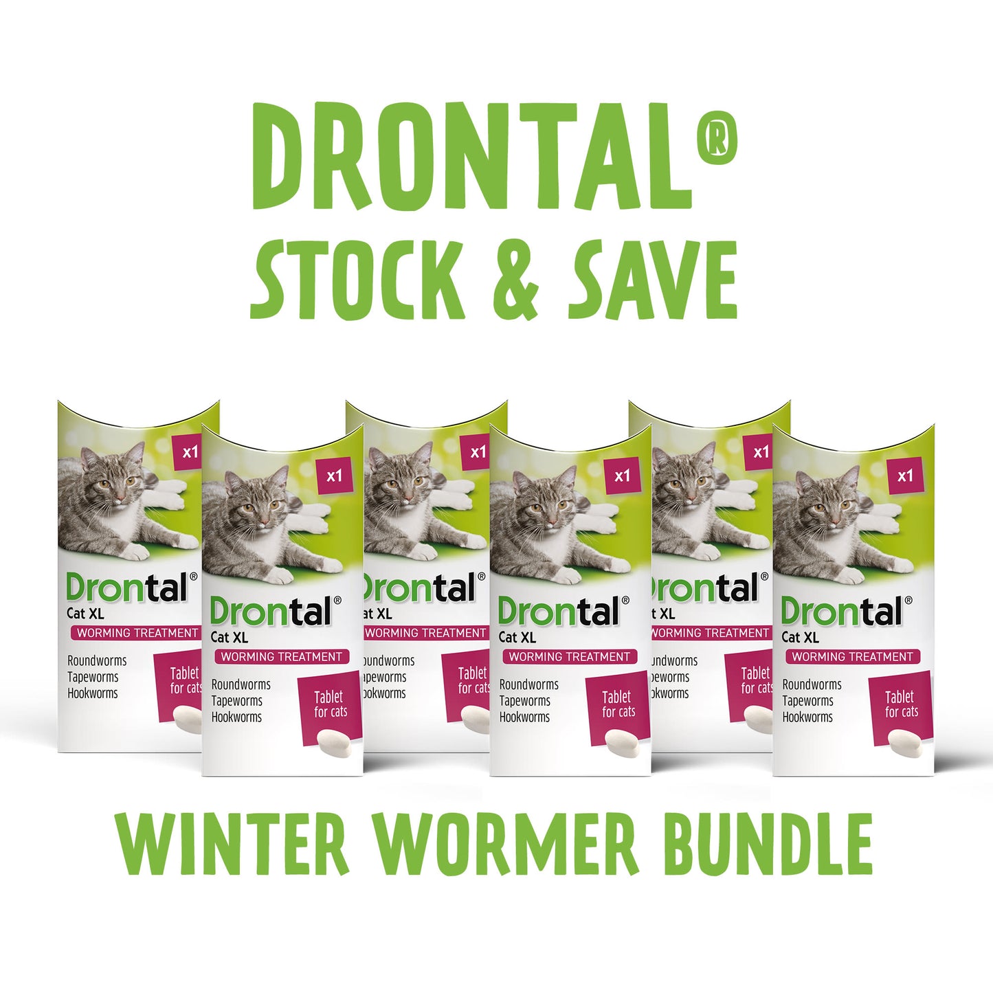 6x Drontal Wormer Tablets for Large Cats (Over 4kg)
